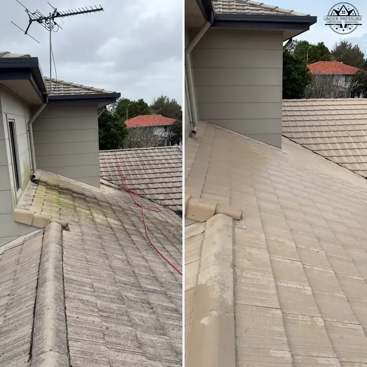 Pool surround cleaning Gold Coast